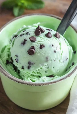 Ninja Creami Mint Chocolate Chip Ice Cream