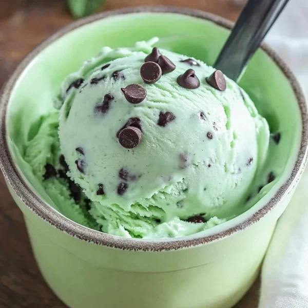 Ninja Creami Mint Chocolate Chip Ice Cream